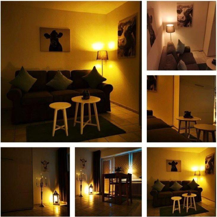 Deichwohnung Strandweg 7 Apartment *