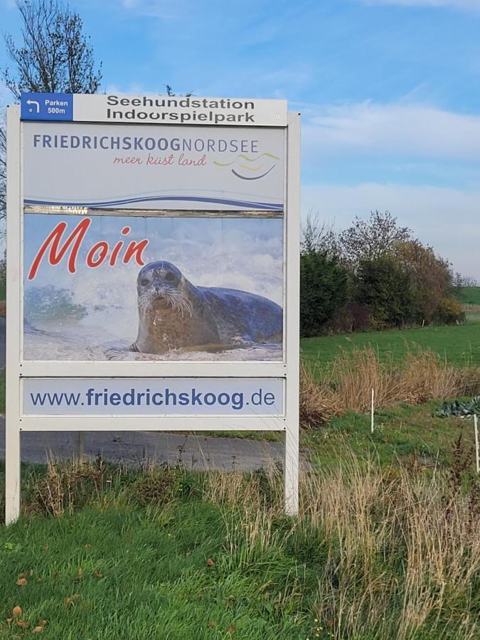 Deichwohnung Strandweg 7 Friedrichskoog-Spitz